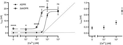2′-deoxy-ADPR activates human TRPM2 faster than ADPR and thereby induces higher currents at physiological Ca2+ concentrations